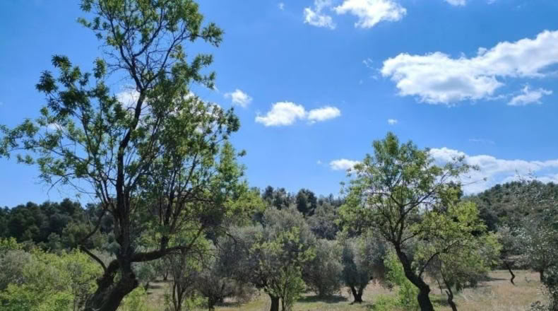 Álava - Fresneda - 19771m2