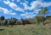 Xalet independent amb terreny en venda a la España, Calaceit, ref.: TR304450 foto