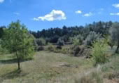 Xalet independent amb terreny en venda a la España, Calaceit, ref.: TR304450 foto
