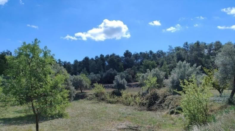 Álava - Fresneda - 19771m2