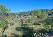 Xalet independent amb terreny en venda a la España, Calaceit, ref.: TR304450 foto