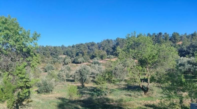 Álava - Fresneda - 19771m2