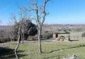 Non-developable land for sale on España, Herguijuela de Ciudad Rodrigo, ref: TR152029 photo