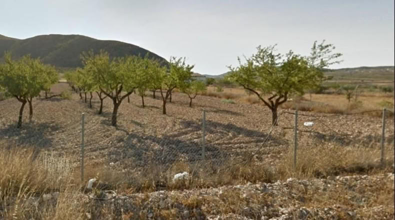 Alicante - Oriola - 2500m2
