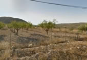 Terreny no urbanitzable en venda a la España, Oriola, ref.: TR158098 foto