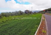 Terreny no urbanitzable en venda a la España, Icod de los Vinos, ref.: TR130483 foto