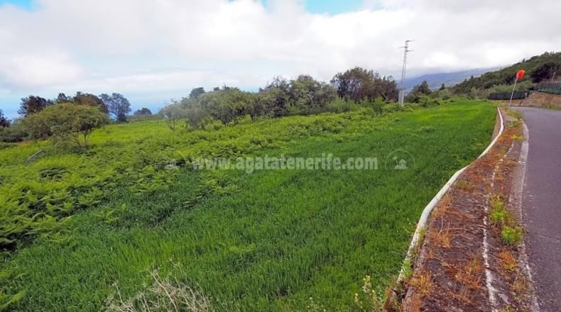 Santa Cruz de Tenerife - Icod de los Vinos - 1112m2