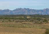 Casa con terreno en venta en la España, Canaletes, ref: TR302841 foto