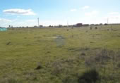 Terreno no urbanizable en venta en la España, Sierra de Fuentes, ref: TR115695 foto