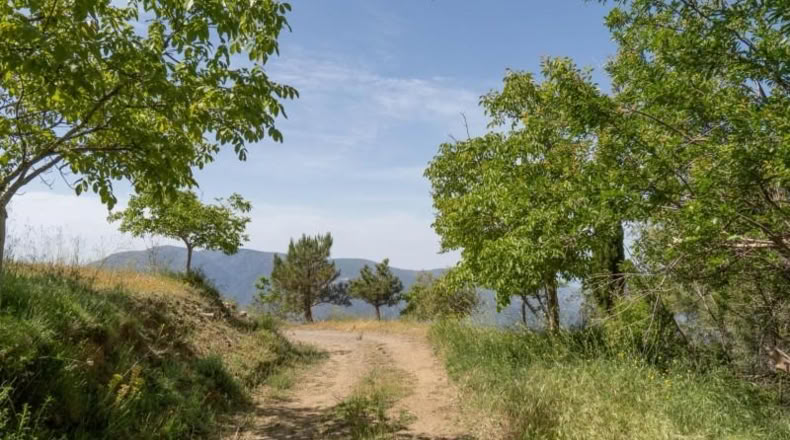 Granada - Carataunas - 3000m2