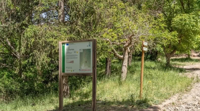 Granada - Carataunas - 3000m2