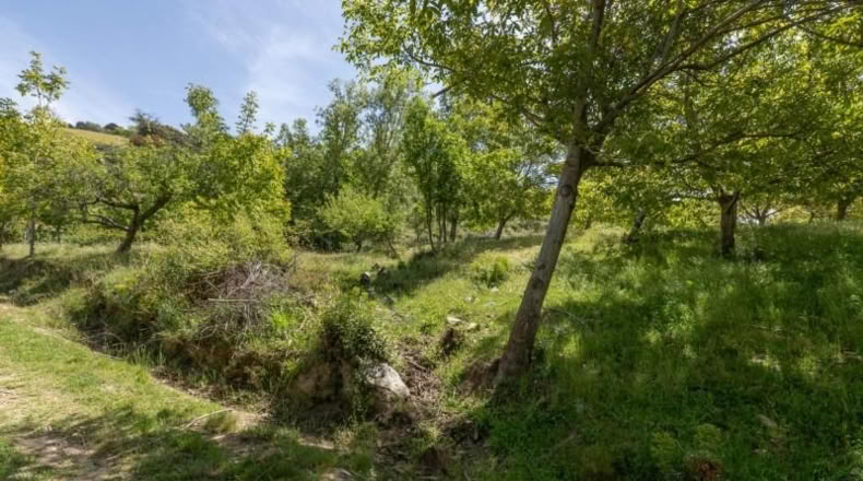 Granada - Carataunas - 3000m2