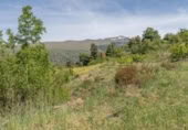 Non-developable land for sale on España, Carataunas, ref: TR238369 photo