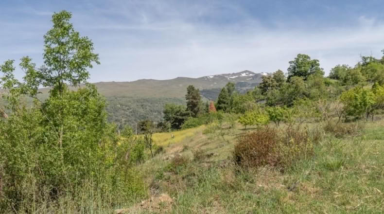 Granada - Carataunas - 3000m2