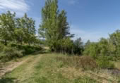 Non-developable land for sale on España, Carataunas, ref: TR238369 photo