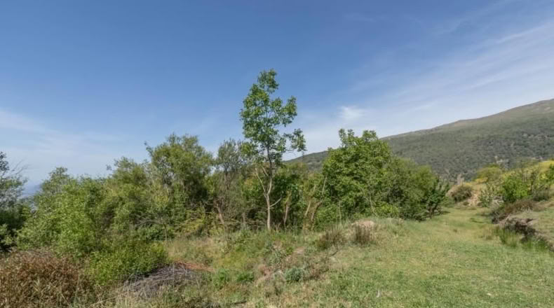 Granada - Carataunas - 3000m2