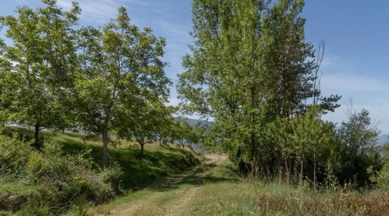 Granada - Carataunas - 3000m2