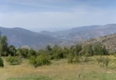Non-developable land for sale on España, Carataunas, ref: TR238369 photo