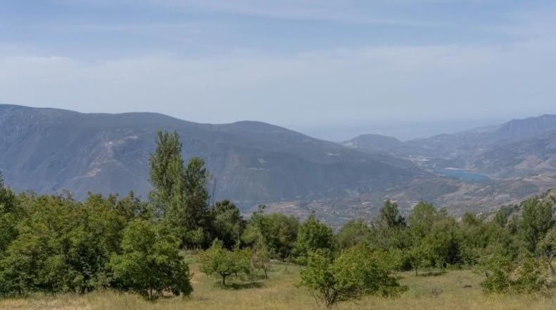 Granada - Carataunas - 3000m2