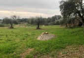 Non-developable land for sale on España, Zarza de Montánchez, ref: TR131627 photo