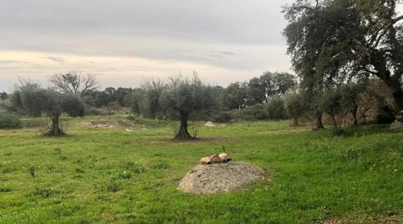 Caceres - Montánchez - 1m2