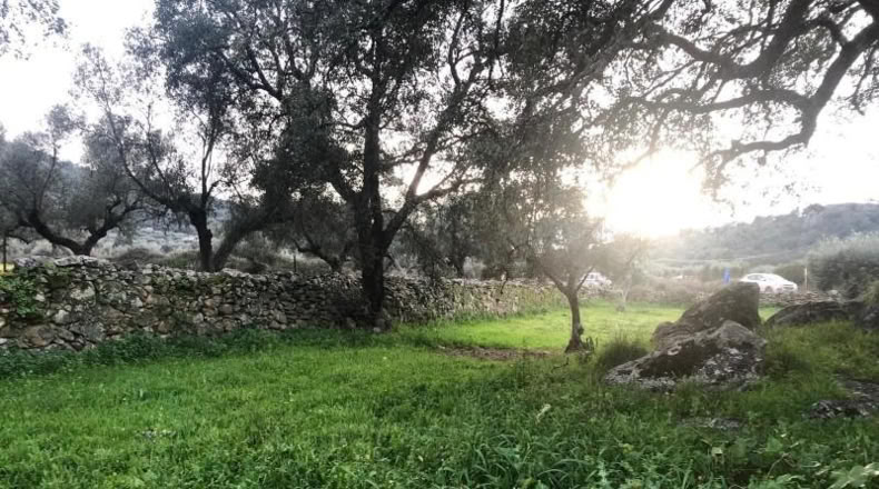 Caceres - Montánchez - 1m2