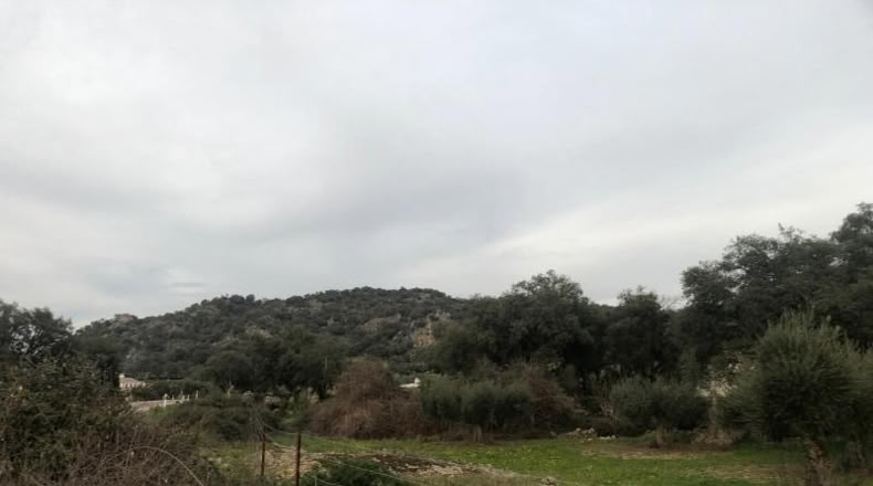 Caceres - Montánchez - 1m2