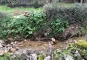 Non-developable land for sale on España, Zarza de Montánchez, ref: TR131627 photo