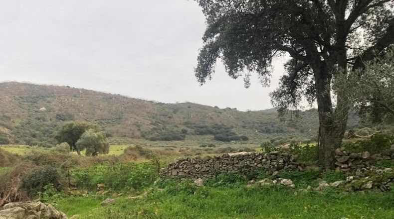 Caceres - Montánchez - 1m2
