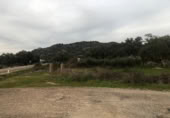 Non-developable land for sale on España, Zarza de Montánchez, ref: TR131627 photo