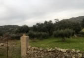 Non-developable land for sale on España, Zarza de Montánchez, ref: TR131627 photo