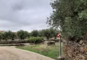 Terreny no urbanitzable en venda a la España, Botija, ref.: TR125269 foto