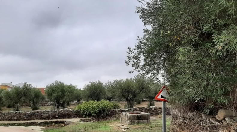 Cáceres - Botija - 1023m2