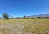 Terreny no urbanitzable en venda a la España, Abrucena, ref.: TR130768 foto