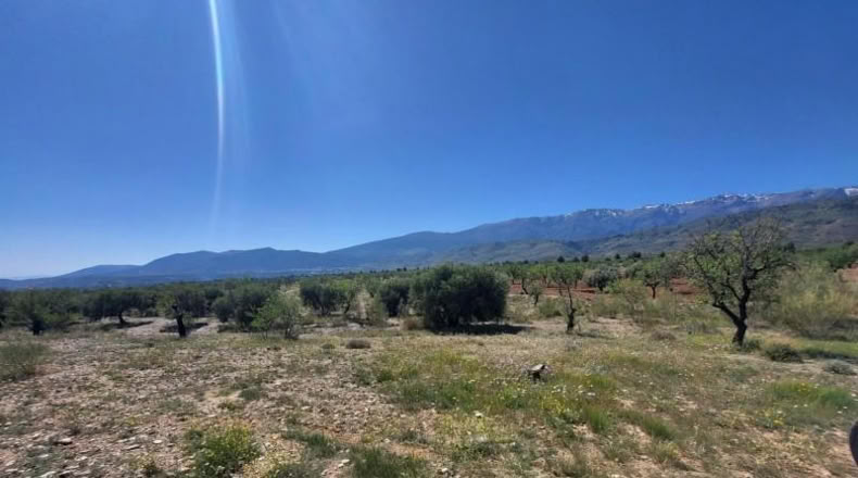 Almeria - Abrucena - 17859m2