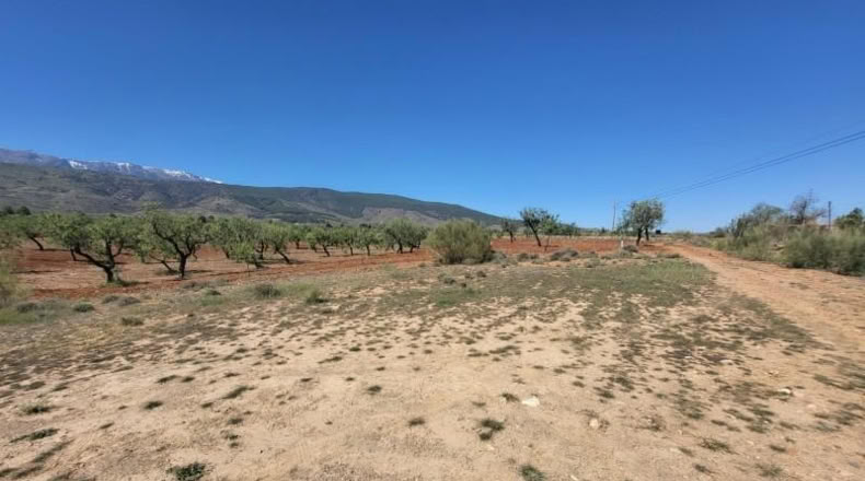 Almeria - Abrucena - 17859m2