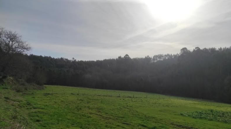 La Coruna - Santiago de Compostela - 5820m2