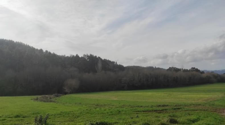 La Coruna - Santiago de Compostela - 5820m2