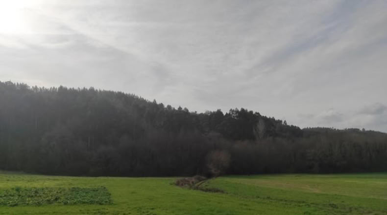 La Coruna - Santiago de Compostela - 5820m2
