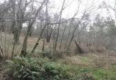 Terreny no urbanitzable en venda a la España, Santiago de Compostel·la, ref.: TR127229 foto