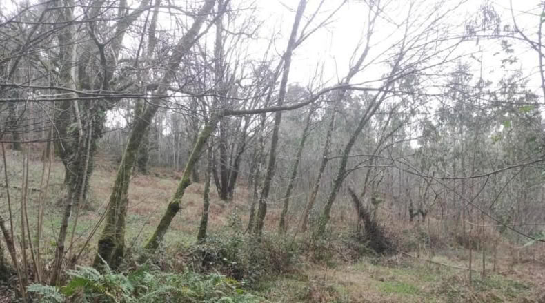 La Coruna - Santiago de Compostela - 5820m2