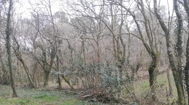 La Coruna - Santiago de Compostela - 5820m2
