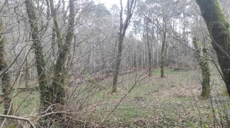 La Coruna - Santiago de Compostela - 5820m2