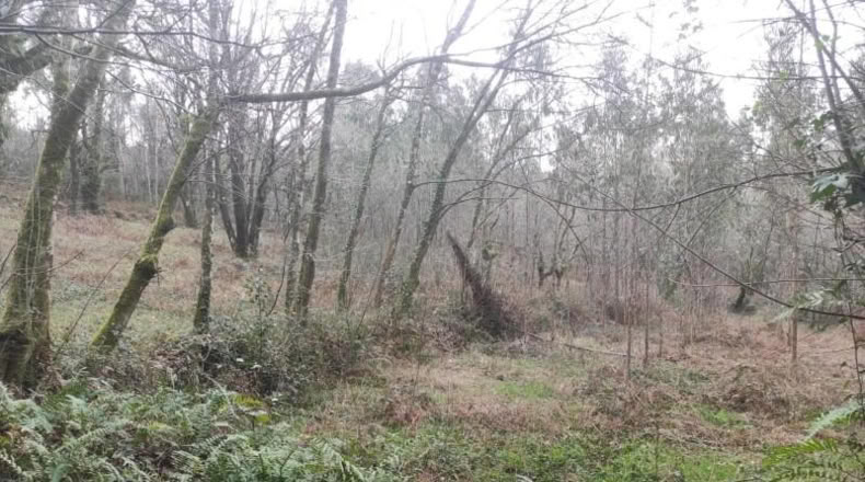 La Coruna - Santiago de Compostela - 5820m2