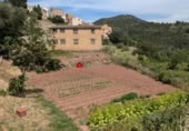 Terreno no urbanizable en venta en la España, Alfara de Carles, ref: TR314046 foto
