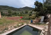 Terreno no urbanizable en venta en la España, Alfara de Carles, ref: TR314046 foto