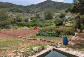 Foto 10