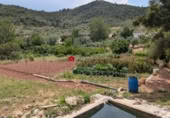 Terreno no urbanizable en venta en la España, Alfara de Carles, ref: TR314046 foto