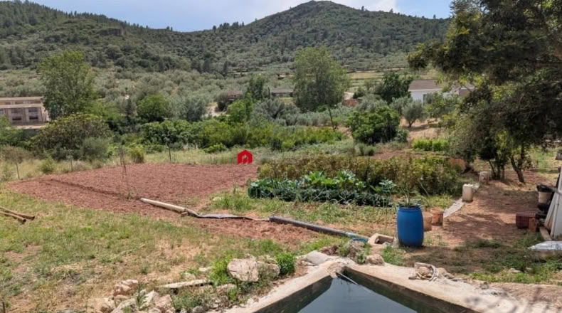 Tarragona - Альфара де Карлес - 714m2