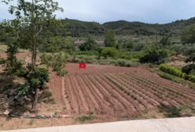 Foto 11